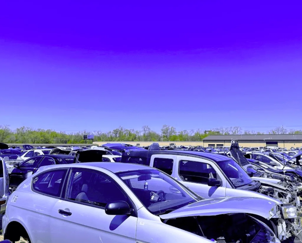 Exterior de Pick Your Part – Rockford