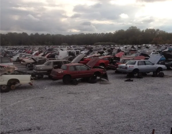 Fotografía de Pull-A-Part Montgomery