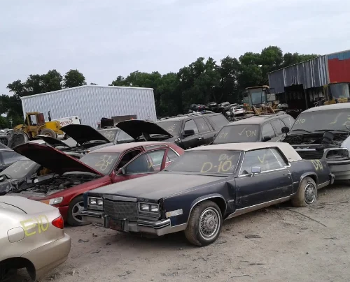 AAA Crain's Auto Salvage LLC carros en el patio